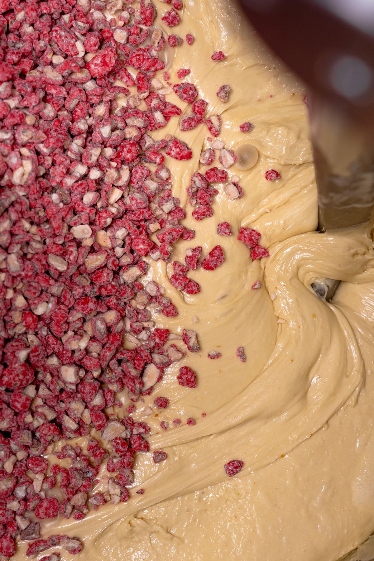 Le Petit Louie à la praline rose