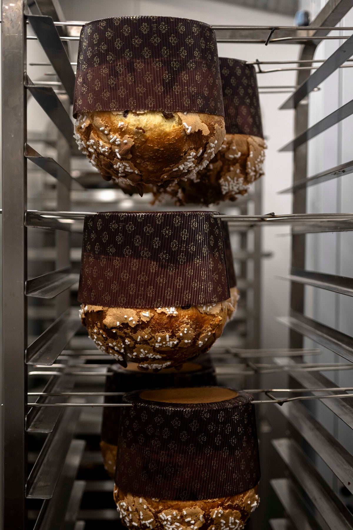 Tranche de panettone aux fruits confits révélant une mie légère parsemée d'oranges et cédrats