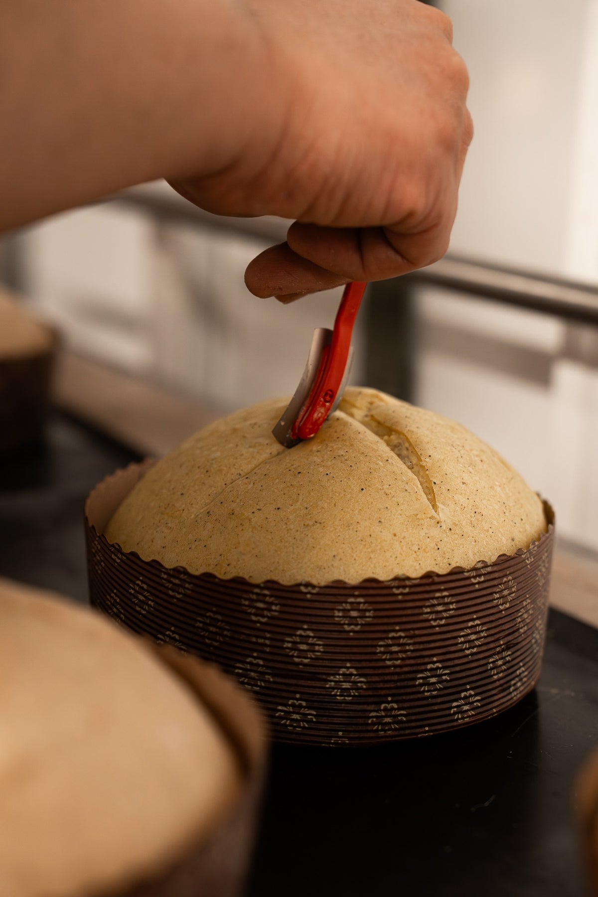 Tranche de panettone cacio e pepe révélant une mie alvéolée au fromage et poivre concassé