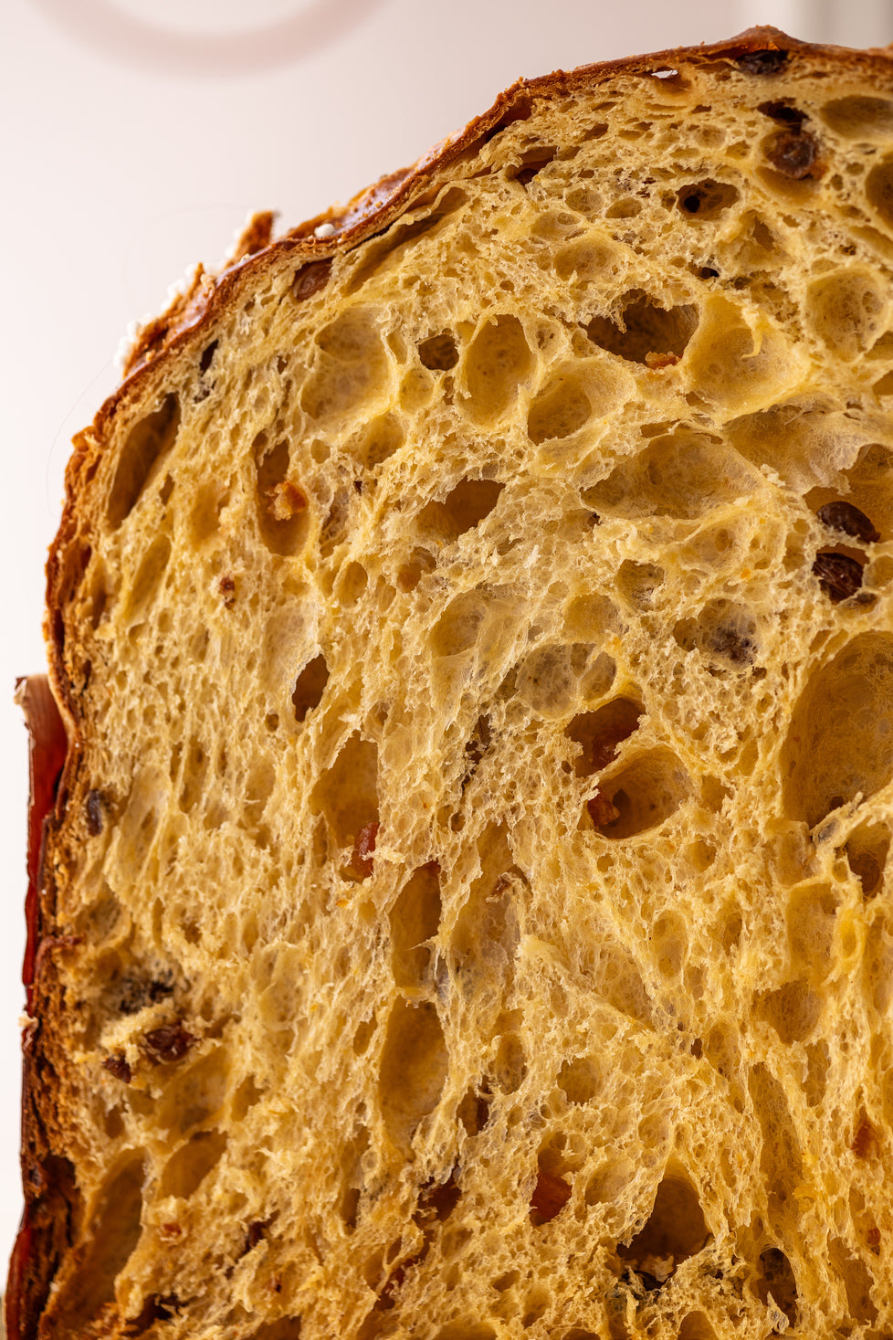 Gros plan sur les fruits confits colorés incrustés dans la mie feuilletée du panettone classico